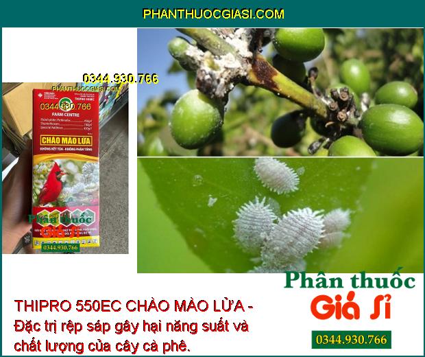 THIPRO 550EC CHÀO MÀO LỬA - Đặc Trị Rệp Sáp - Mọt Đục Cành - Ruồi Vàng - Nhện Đỏ