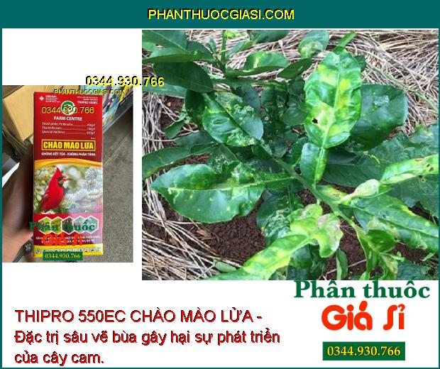 THIPRO 550EC CHÀO MÀO LỬA - Đặc Trị Rệp Sáp - Mọt Đục Cành - Ruồi Vàng - Nhện Đỏ