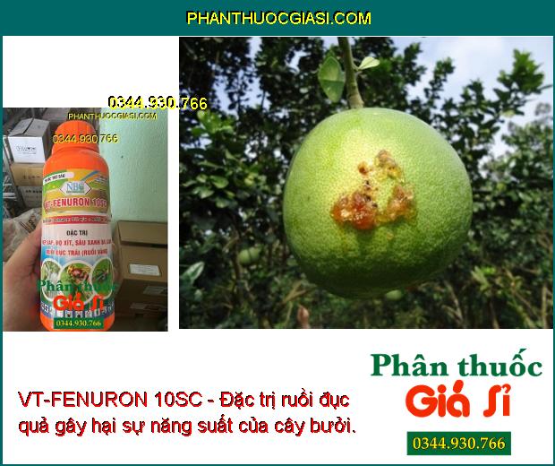 VT-FENURON 10SC - Đặc Trị Rệp Sáp - Bọ Xít - Sâu Xanh Da Láng - Ruồi Đục Trái