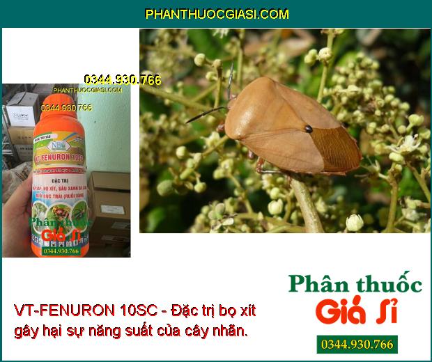 VT-FENURON 10SC - Đặc Trị Rệp Sáp - Bọ Xít - Sâu Xanh Da Láng - Ruồi Đục Trái