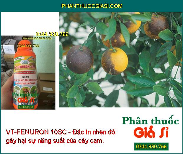 VT-FENURON 10SC - Đặc Trị Rệp Sáp - Bọ Xít - Sâu Xanh Da Láng - Ruồi Đục Trái