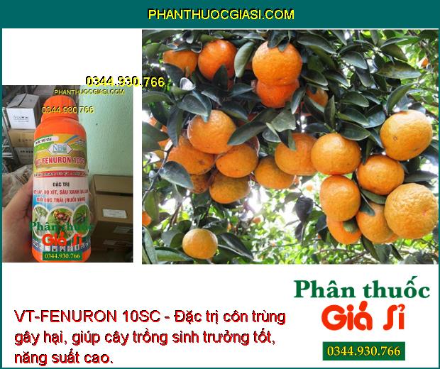 VT-FENURON 10SC - Đặc Trị Rệp Sáp - Bọ Xít - Sâu Xanh Da Láng - Ruồi Đục Trái