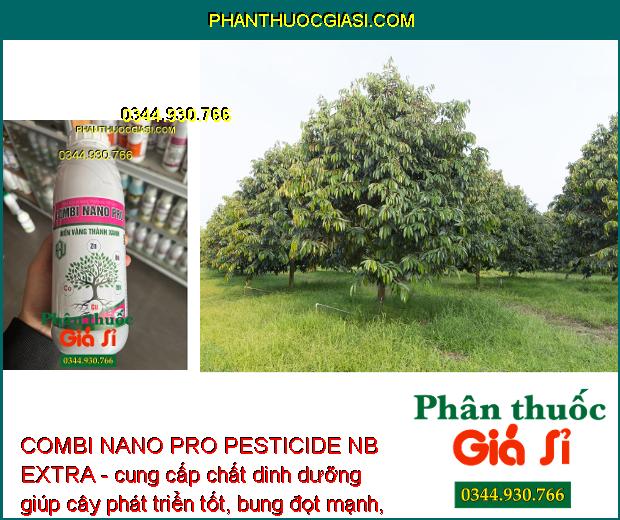 COMBI NANO PRO PESTICIDE NB EXTRA - Rễ Phát Triển Mạnh - Xanh Lá