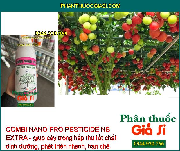 COMBI NANO PRO PESTICIDE NB EXTRA - Rễ Phát Triển Mạnh - Xanh Lá