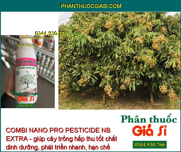 COMBI NANO PRO PESTICIDE NB EXTRA - Rễ Phát Triển Mạnh - Xanh Lá