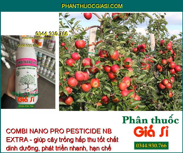 COMBI NANO PRO PESTICIDE NB EXTRA - Rễ Phát Triển Mạnh - Xanh Lá