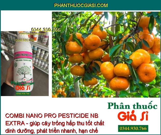 COMBI NANO PRO PESTICIDE NB EXTRA - Rễ Phát Triển Mạnh - Xanh Lá