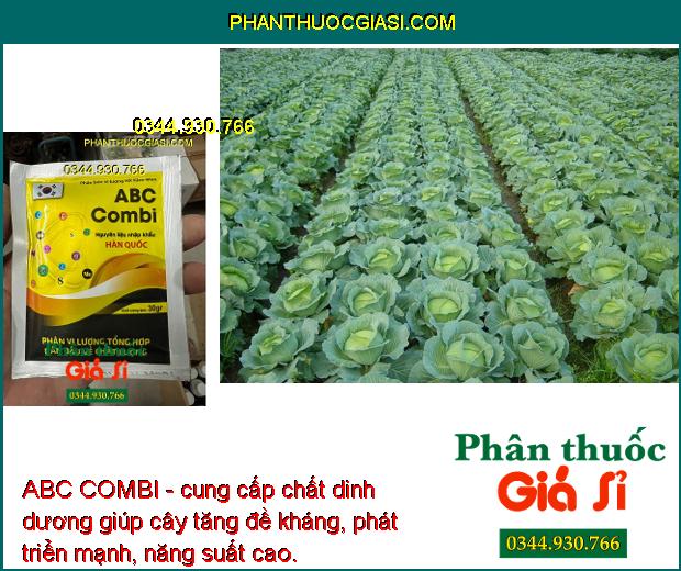 ABC COMBI - Tăng Đề Kháng - Tăng Hấp Thu Dinh Dưỡng - Hạn Chế Xoăn Lá - Rụng Hoa - Còi Cọc - Biến Dạng Trái