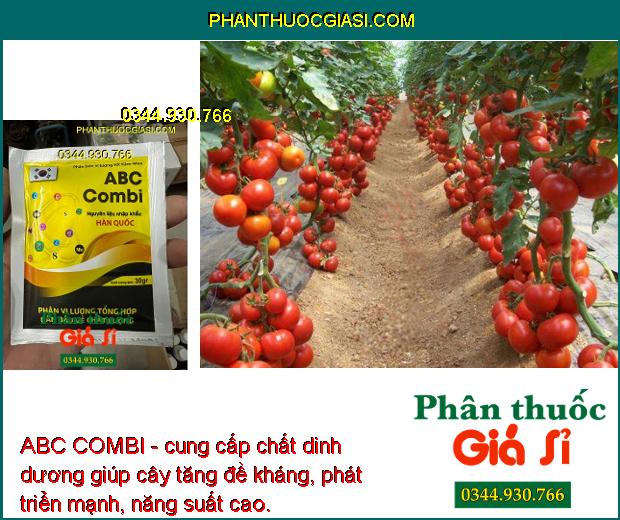 ABC COMBI - Tăng Đề Kháng - Tăng Hấp Thu Dinh Dưỡng - Hạn Chế Xoăn Lá - Rụng Hoa - Còi Cọc - Biến Dạng Trái