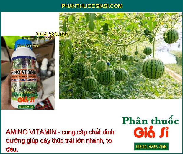 AMINO VITAMIN - Cây Xanh Tốt - Nhú Đọt Mạnh - Lớn Trái - Tăng Sinh Trưởng Và Năng Suất