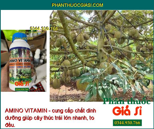 AMINO VITAMIN - Cây Xanh Tốt - Nhú Đọt Mạnh - Lớn Trái - Tăng Sinh Trưởng Và Năng Suất