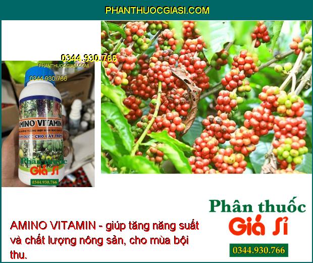 AMINO VITAMIN - Cây Xanh Tốt - Nhú Đọt Mạnh - Lớn Trái - Tăng Sinh Trưởng Và Năng Suất