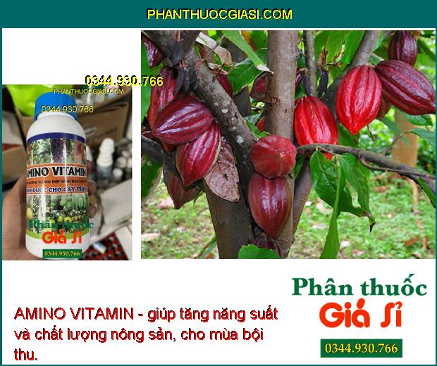 AMINO VITAMIN - Cây Xanh Tốt - Nhú Đọt Mạnh - Lớn Trái - Tăng Sinh Trưởng Và Năng Suất