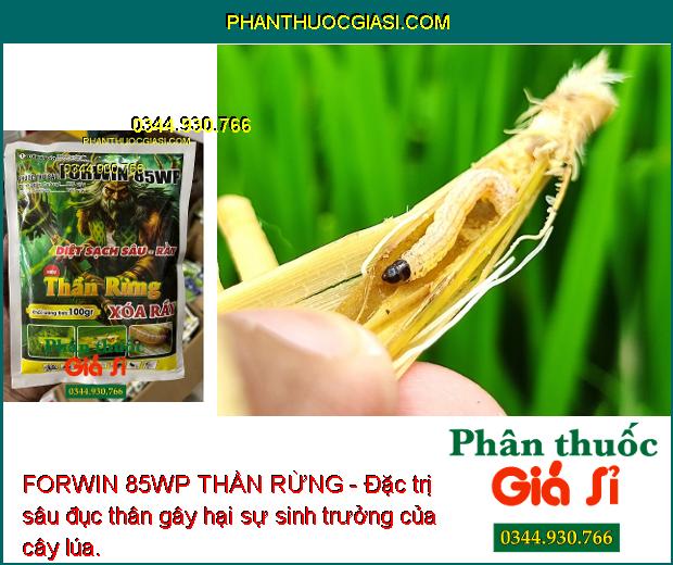 FORWIN 85WP THẦN RỪNG - Đặc Trị Sâu Đục Thân - Rầy Nâu - Rầy Xanh