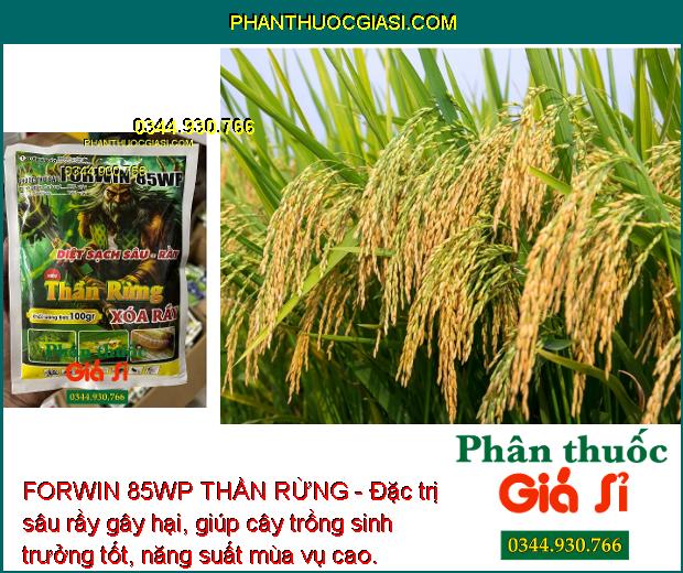 FORWIN 85WP THẦN RỪNG - Đặc Trị Sâu Đục Thân - Rầy Nâu - Rầy Xanh