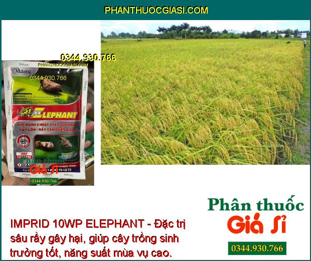 IMPRID 10WP ELEPHANT - Đặc Trị Rầy Nâu - Rầy Lớn - Rầy Cám - Sâu Đục Thân