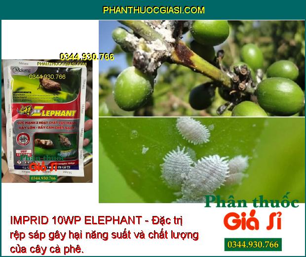 IMPRID 10WP ELEPHANT - Đặc Trị Rầy Nâu - Rầy Lớn - Rầy Cám - Sâu Đục Thân