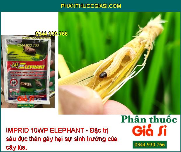 IMPRID 10WP ELEPHANT - Đặc Trị Rầy Nâu - Rầy Lớn - Rầy Cám - Sâu Đục Thân