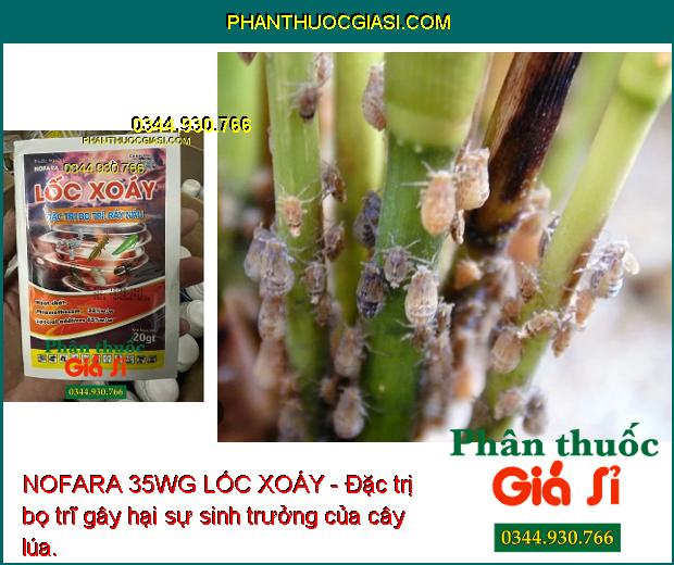 NOFARA 35WG LỐC XOÁY - Đặc Trĩ Bọ Trĩ - Rầy Nâu - Bọ Xít - Rệp Sáp - Rầy Mềm