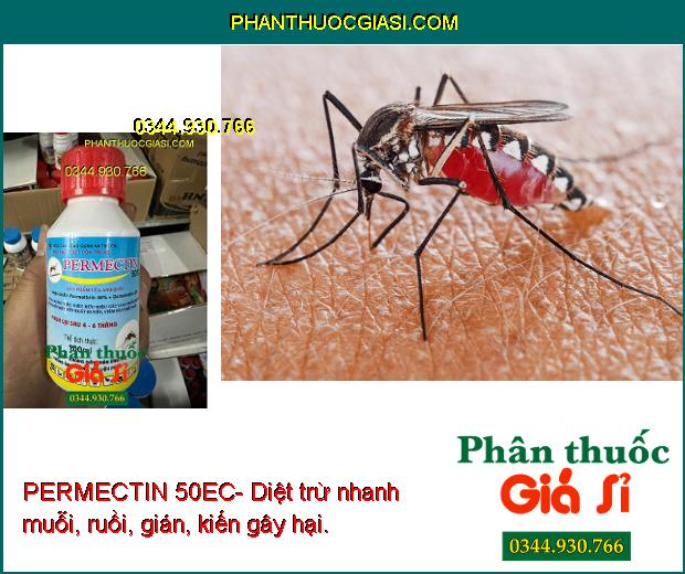 PERMECTIN 50EC- Đặc Trị Côn Trùng Gây Hại - Tiêu Diệt Muỗi - Ruồi - Kiến - Gián