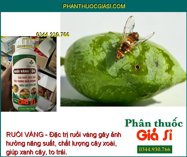 RUỒI VÀNG - Đặc Trị Ruồi Vàng - Tiêu Trứng Nhanh - Giúp Xanh Cây - To Trái