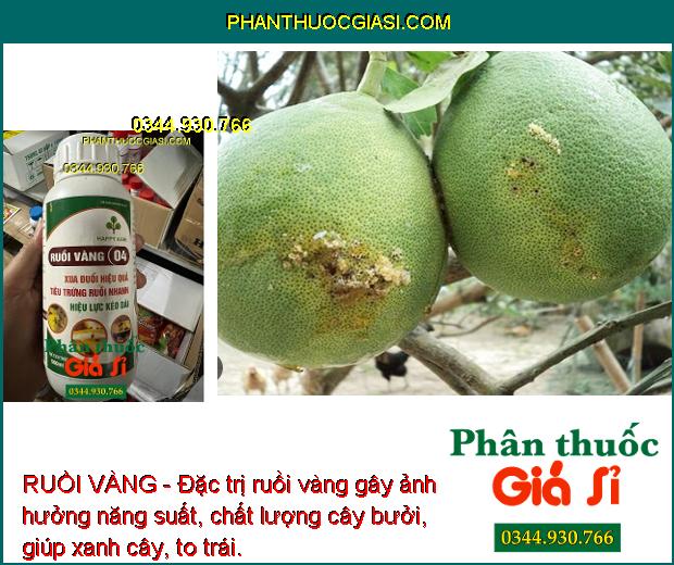 RUỒI VÀNG - Đặc Trị Ruồi Vàng - Tiêu Trứng Nhanh - Giúp Xanh Cây - To Trái