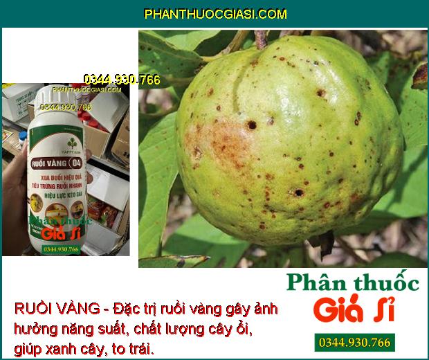 RUỒI VÀNG - Đặc Trị Ruồi Vàng - Tiêu Trứng Nhanh - Giúp Xanh Cây - To Trái