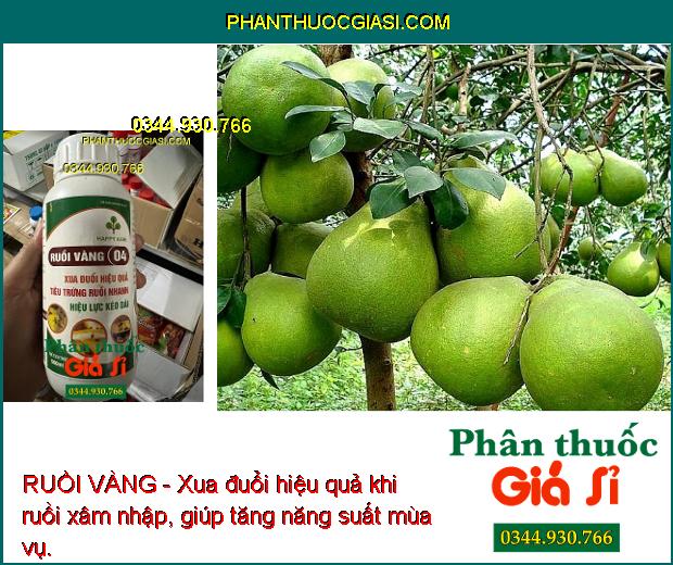 RUỒI VÀNG - Đặc Trị Ruồi Vàng - Tiêu Trứng Nhanh - Giúp Xanh Cây - To Trái