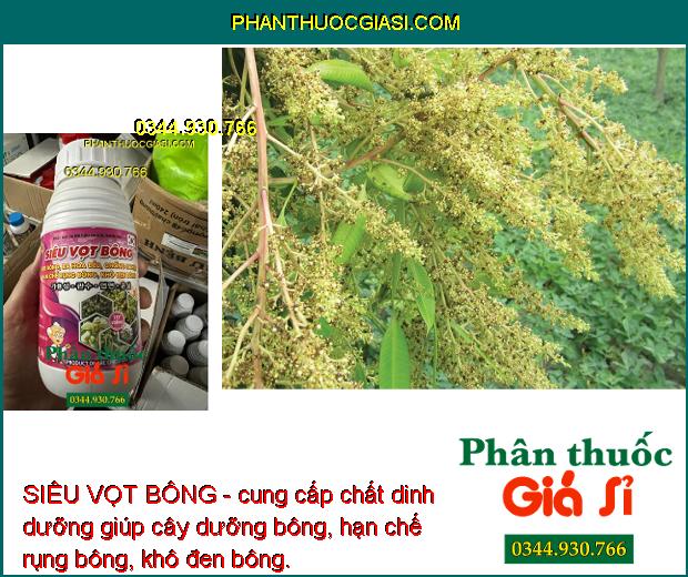 SIÊU VỌT BÔNG - Ra Hoa Nhiều - Chống Nghẹn Hoa - Hạn Chế Rụng Trái Non - Tăng Độ Ngọt