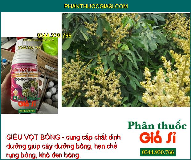 SIÊU VỌT BÔNG - Ra Hoa Nhiều - Chống Nghẹn Hoa - Hạn Chế Rụng Trái Non - Tăng Độ Ngọt