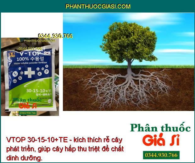 VTOP 30-15-10+TE - Xanh Lá - Kéo Đọt - Kích Ra Rễ - Vọt Bông - Trổ Hoa Đều - Đồng Loạt