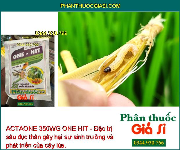 ACTAONE 350WG ONE HIT - Rầy Nâu - Sâu Đục Thân - Rầy Xanh - Bọ Trĩ