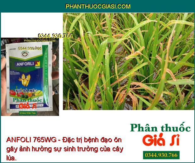 ANFOLI 765WG - Đặc trị nấm bệnh gây hại, giúp cây trồng sinh trưởng tốt, năng suất mùa vụ tối ưu.