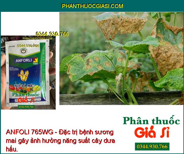 ANFOLI 765WG- Đặc Trị Nấm Bệnh: Lem Lép Hạt - Đạo Ôn - Đốm Vằn - Thán Thư- Sương Mai