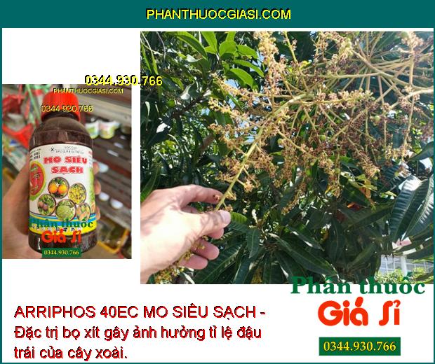 ARRIPHOS 40EC MO SIÊU SẠCH - Đặc Trị Bọ Cánh Tơ - Sâu Vẽ Bùa - Sâu Đục Quả