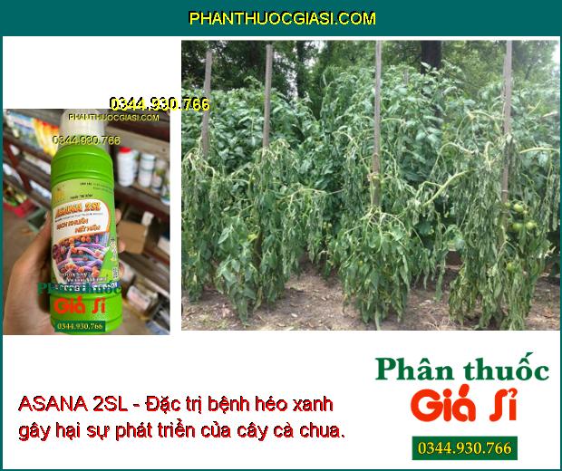 ASANA 2SL - Đặc Trị Đạo Ôn Lá - Cổ Bông - Khô Vằn - Bạc Lá - Thỗi Nhũn - Héo Xanh