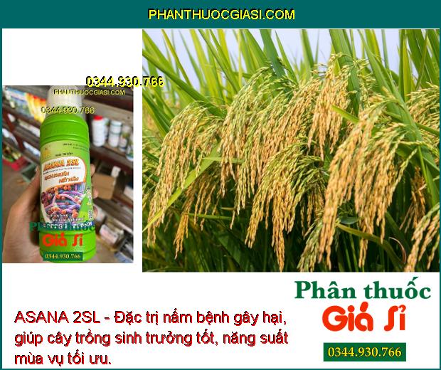 ASANA 2SL - Đặc Trị Đạo Ôn Lá - Cổ Bông - Khô Vằn - Bạc Lá - Thỗi Nhũn - Héo Xanh