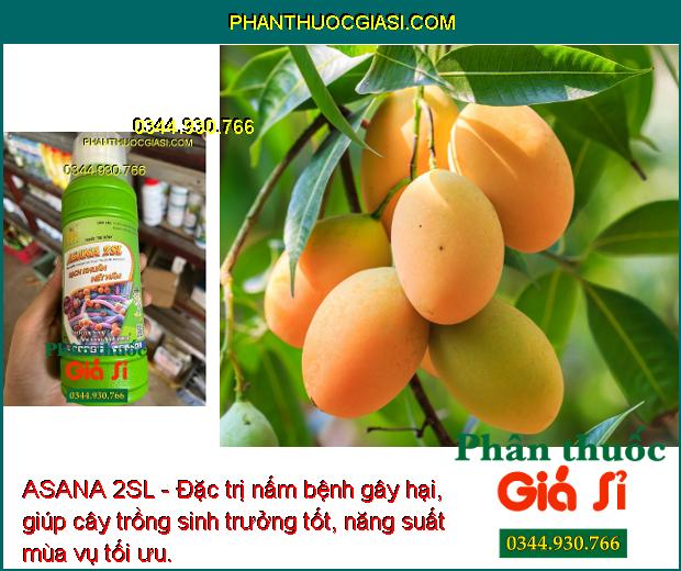 ASANA 2SL - Đặc Trị Đạo Ôn Lá - Cổ Bông - Khô Vằn - Bạc Lá - Thỗi Nhũn - Héo Xanh