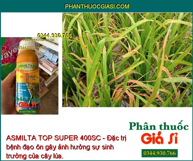 ASMILTA TOP SUPER 400SC- Đặc Trị Lem Lép Hạt - Đạo Ôn - Thán Thư - Sương Mai - Rỉ Sắt