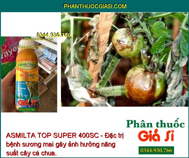 ASMILTA TOP SUPER 400SC- Đặc Trị Lem Lép Hạt - Đạo Ôn - Thán Thư - Sương Mai - Rỉ Sắt