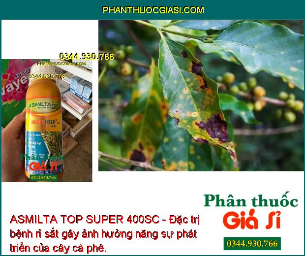 ASMILTA TOP SUPER 400SC- Đặc Trị Lem Lép Hạt - Đạo Ôn - Thán Thư - Sương Mai - Rỉ Sắt