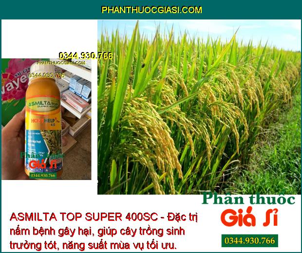 ASMILTA TOP SUPER 400SC- Đặc Trị Lem Lép Hạt - Đạo Ôn - Thán Thư - Sương Mai - Rỉ Sắt