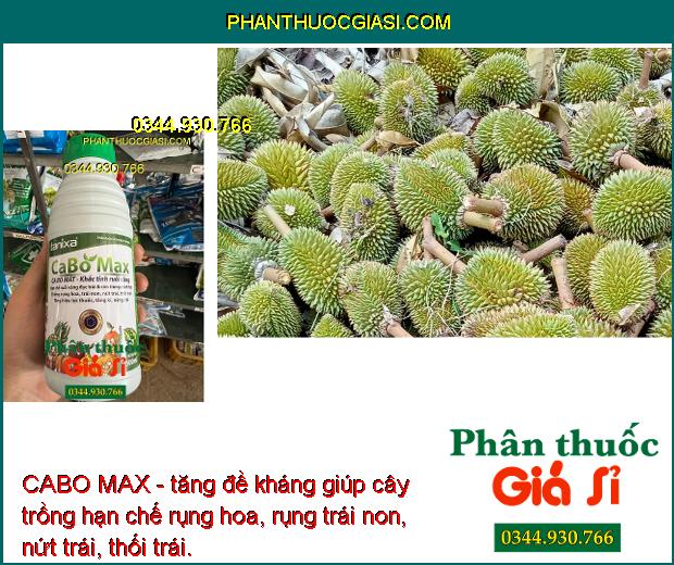 CABO MAX - Hạn Chế Ruồi Vàng - Chống Rụng Hoa - Trái Non - Nứt Trái - Thối Trái