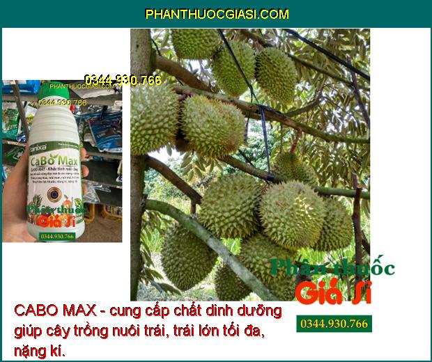 CABO MAX - Hạn Chế Ruồi Vàng - Chống Rụng Hoa - Trái Non - Nứt Trái - Thối Trái