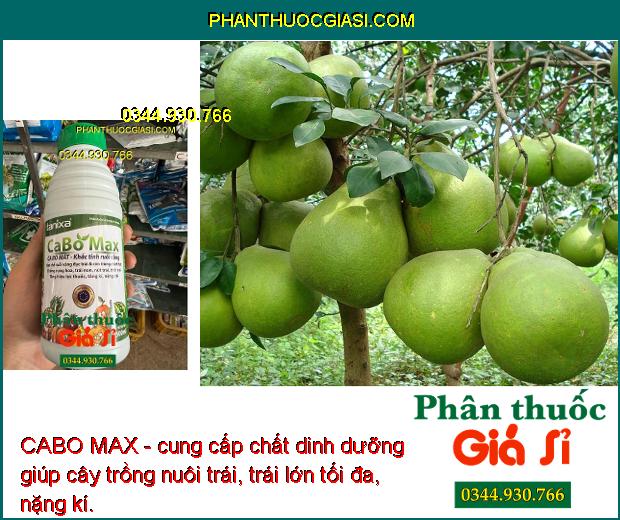 CABO MAX - Hạn Chế Ruồi Vàng - Chống Rụng Hoa - Trái Non - Nứt Trái - Thối Trái