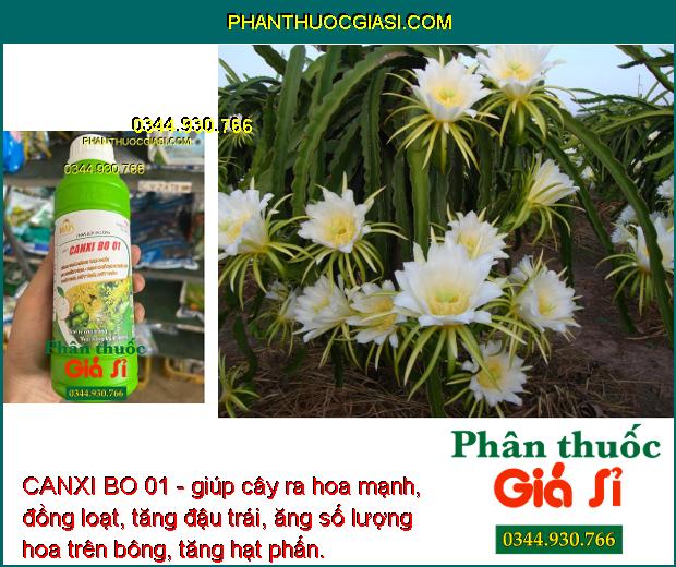 CANXI BO 01 - Tăng Thụ Phấn - Ra Nhiều Hoa - Hạn Chế Rụng Trái Non - Thối Trái