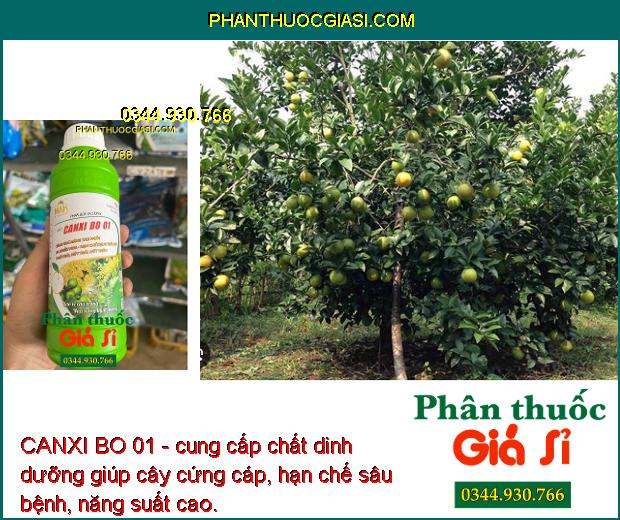 CANXI BO 01 - Tăng Thụ Phấn - Ra Nhiều Hoa - Hạn Chế Rụng Trái Non - Thối Trái