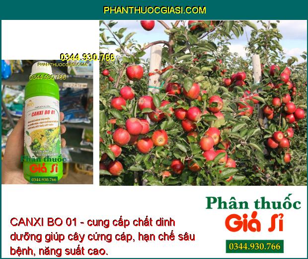 CANXI BO 01 - Tăng Thụ Phấn - Ra Nhiều Hoa - Hạn Chế Rụng Trái Non - Thối Trái