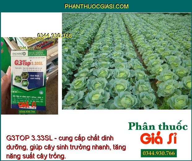 G3TOP 3.33SL - Kích Thích Sinh Trưởng - Tăng Đậu Hạt - To Lá - Kích Ra Hoa - Tăng Đậu Trái