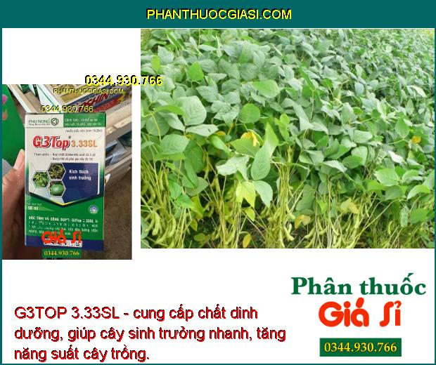 G3TOP 3.33SL - Kích Thích Sinh Trưởng - Tăng Đậu Hạt - To Lá - Kích Ra Hoa - Tăng Đậu Trái